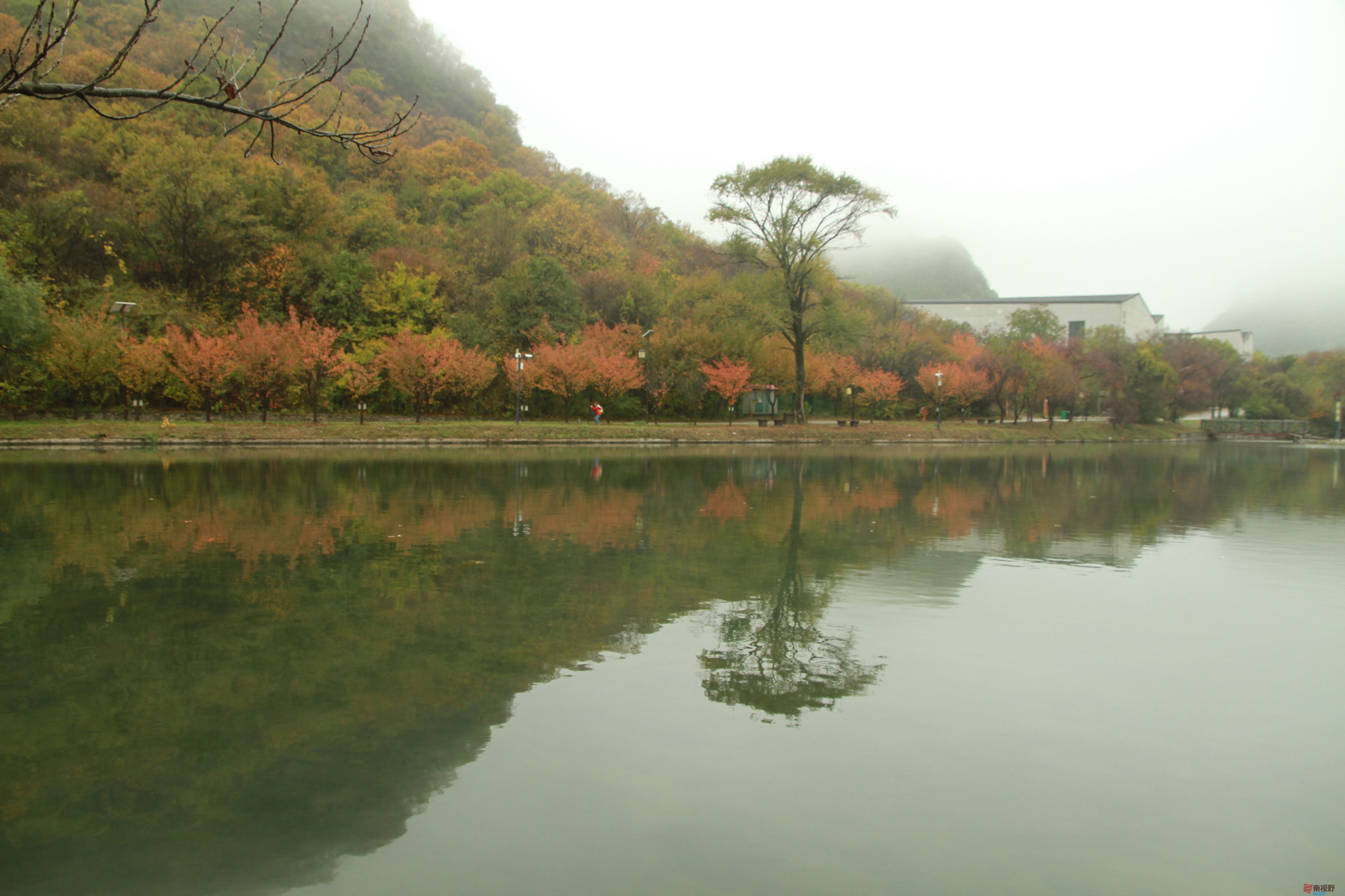 伍卸凤_20251023141409_1305_370 (1).jpg