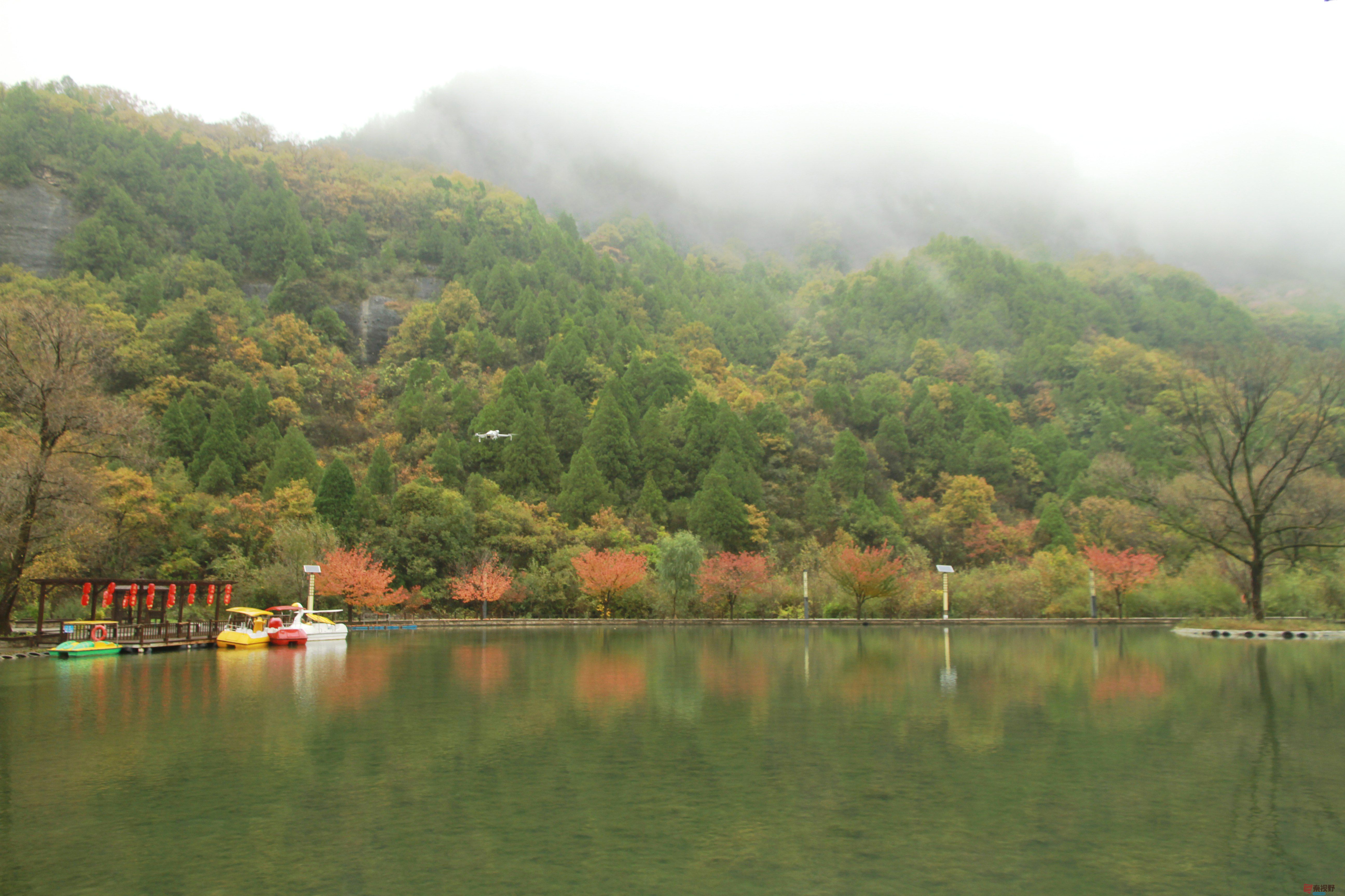 伍卸凤_20251023141409_1305_370 (13).jpg