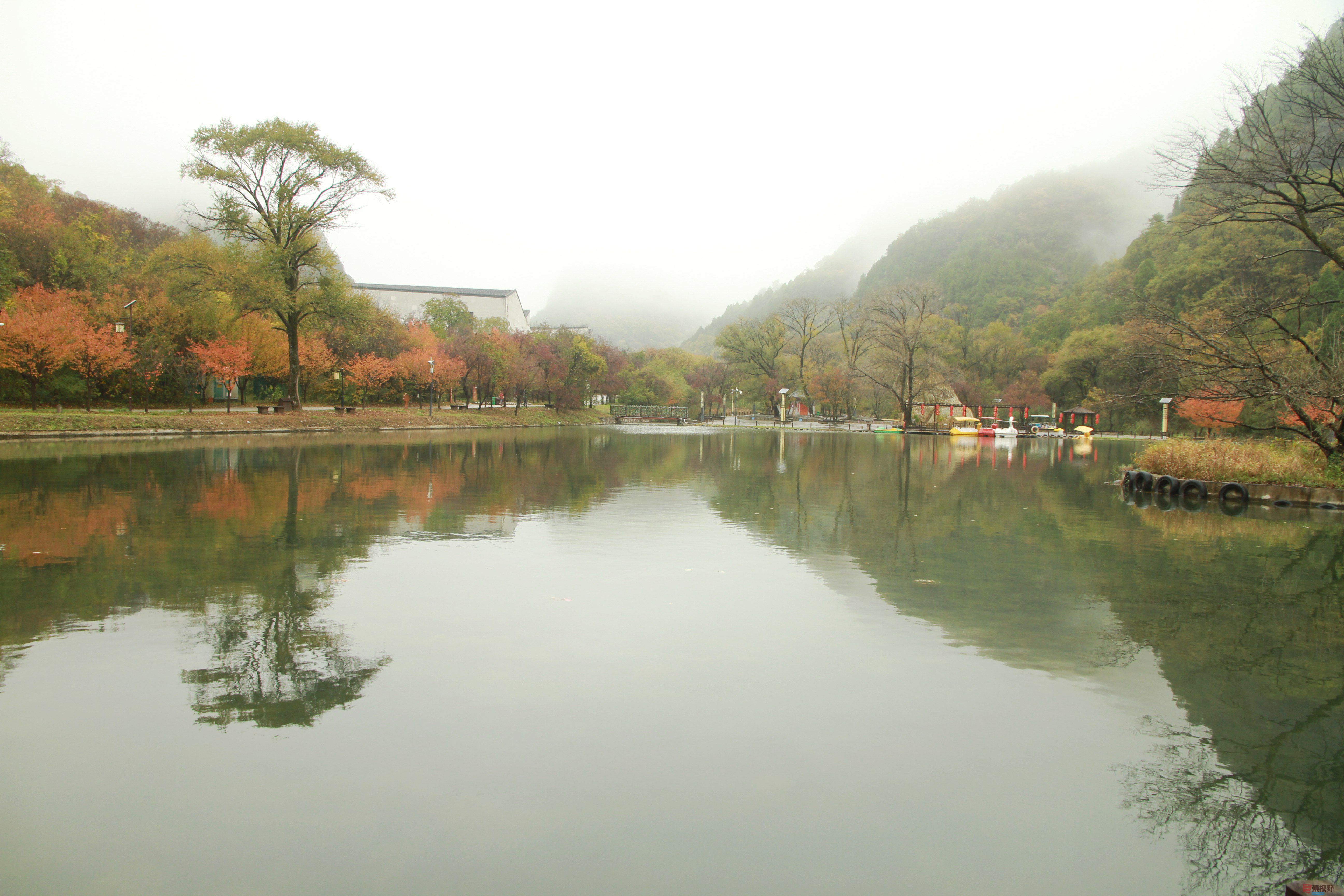 伍卸凤_20251023141409_1305_370 (14).jpg