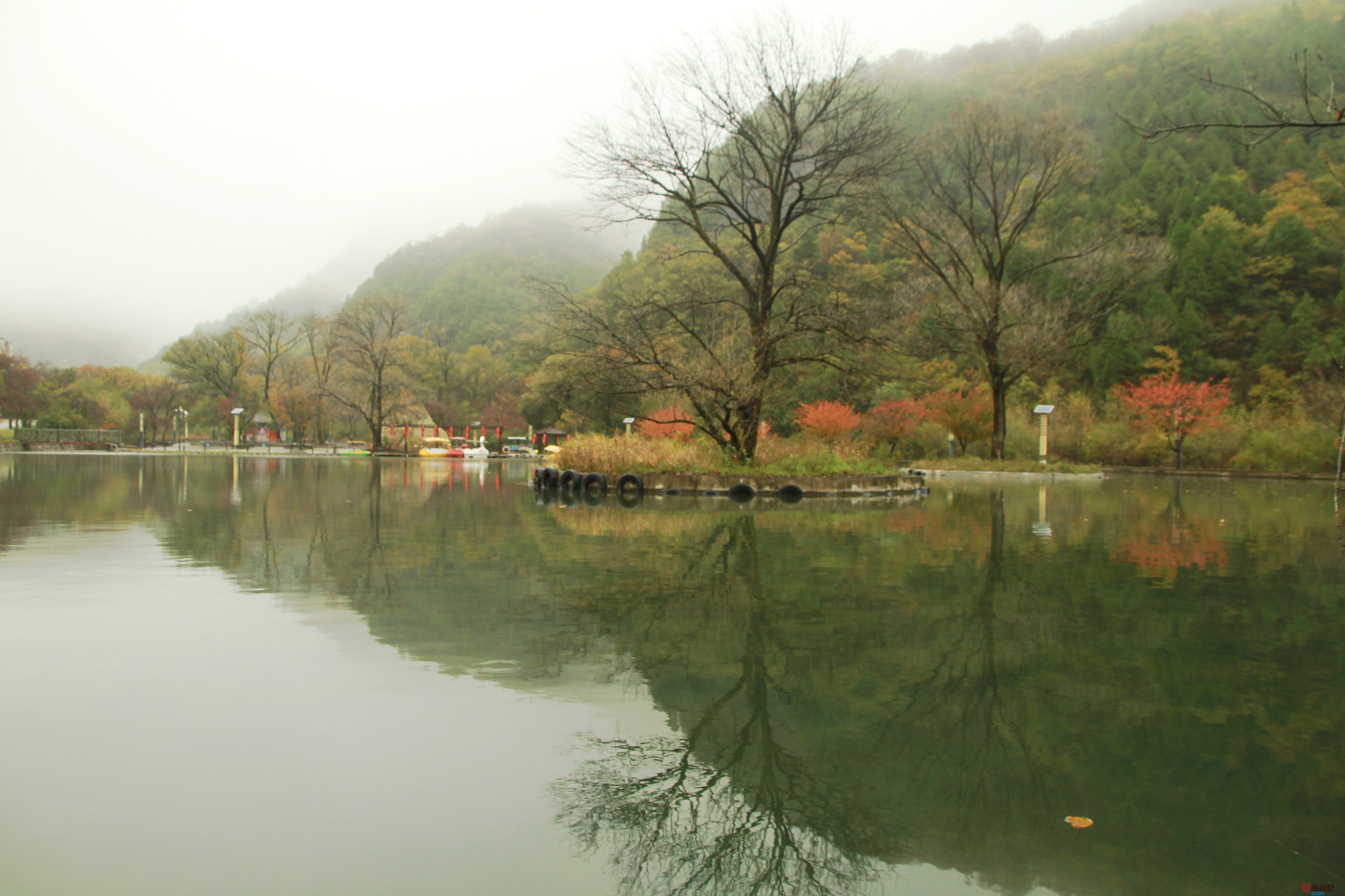 伍卸凤_20251023141409_1305_370 (15).jpg