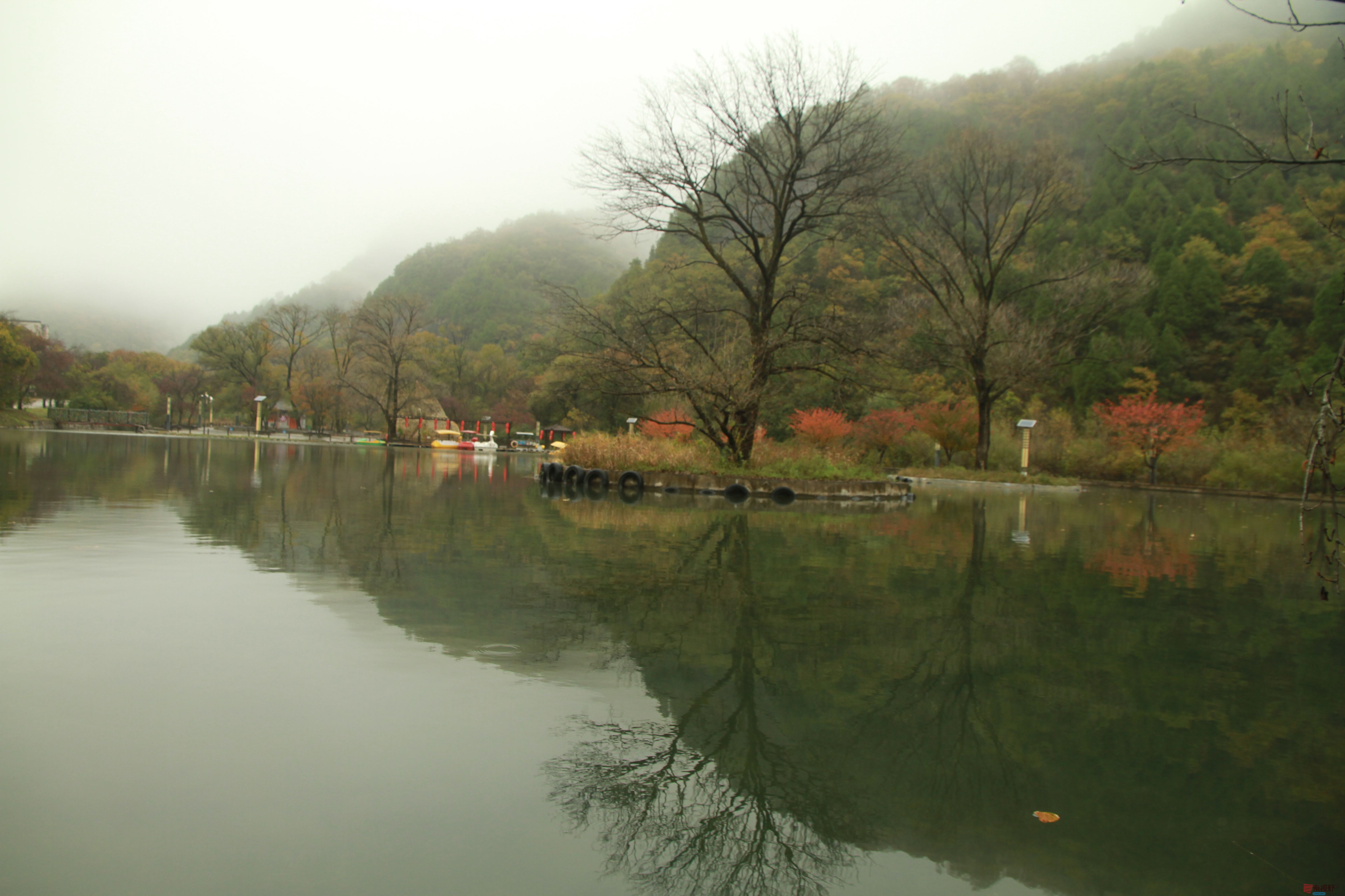 摄影不仅是爱好，更是一种信仰【摄影伍卸凤】