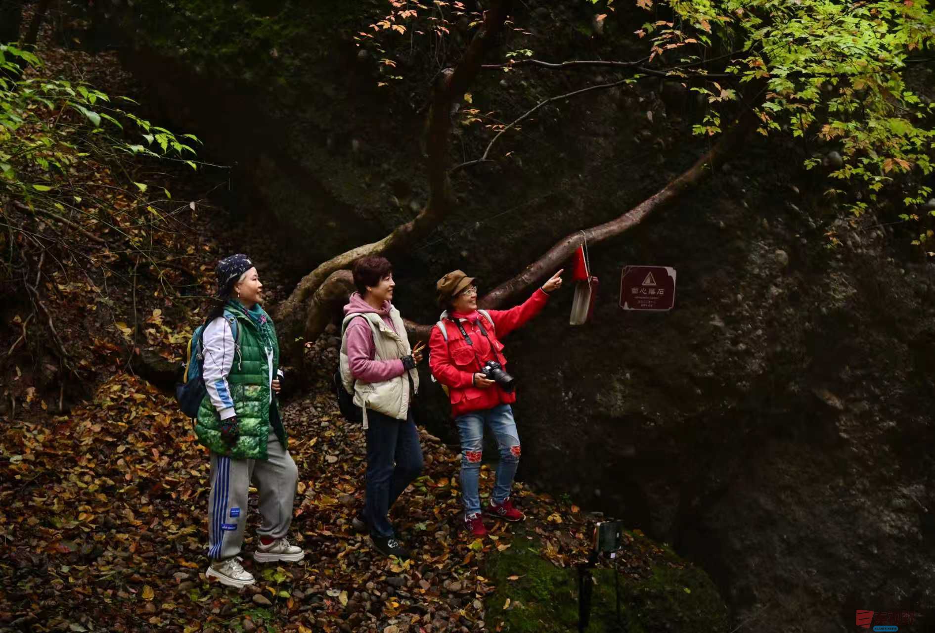 肖宝清_20251022163253_1252_370 (7).jpg