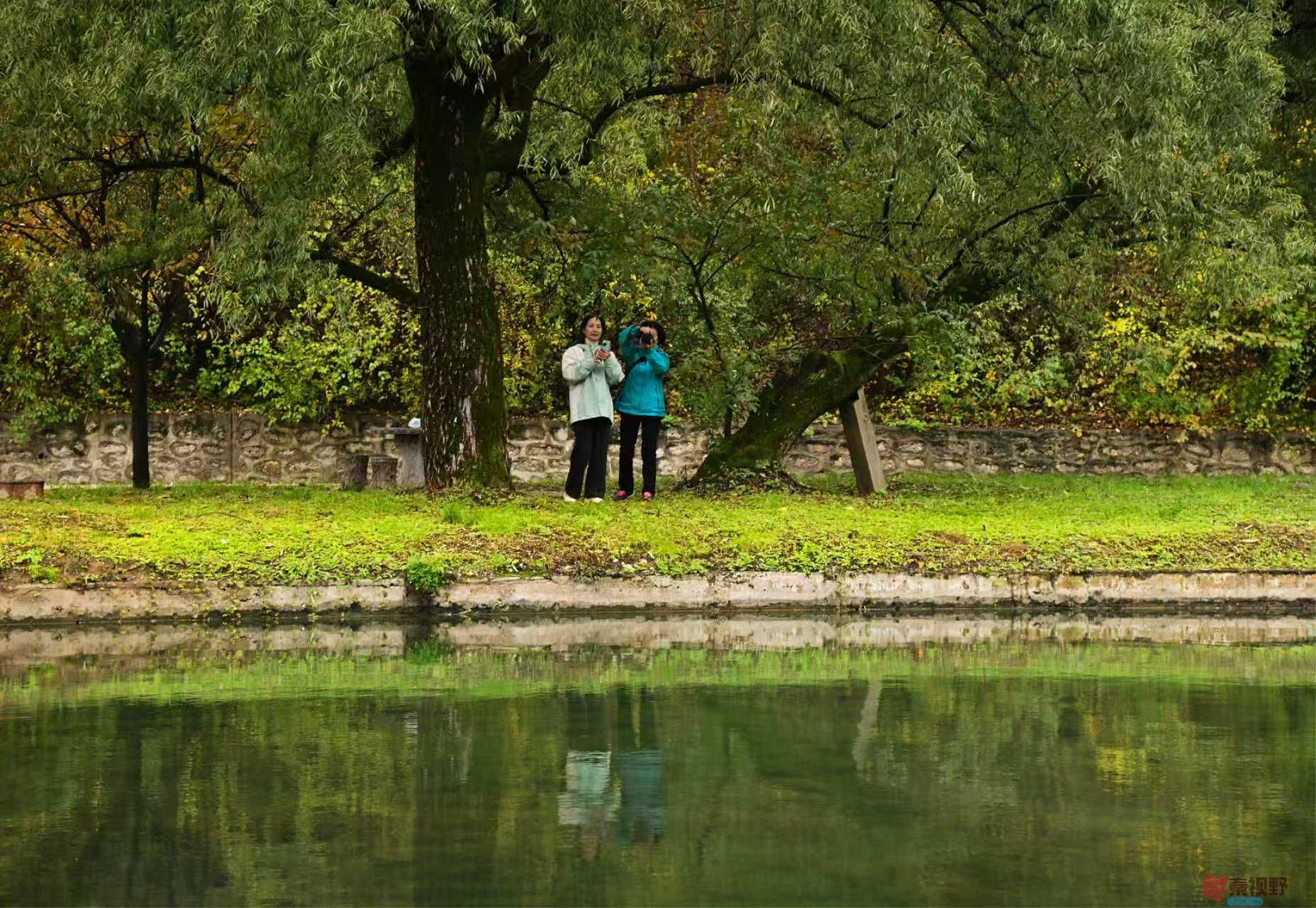 摄影的世界，你最懂我的心【摄影肖宝清】