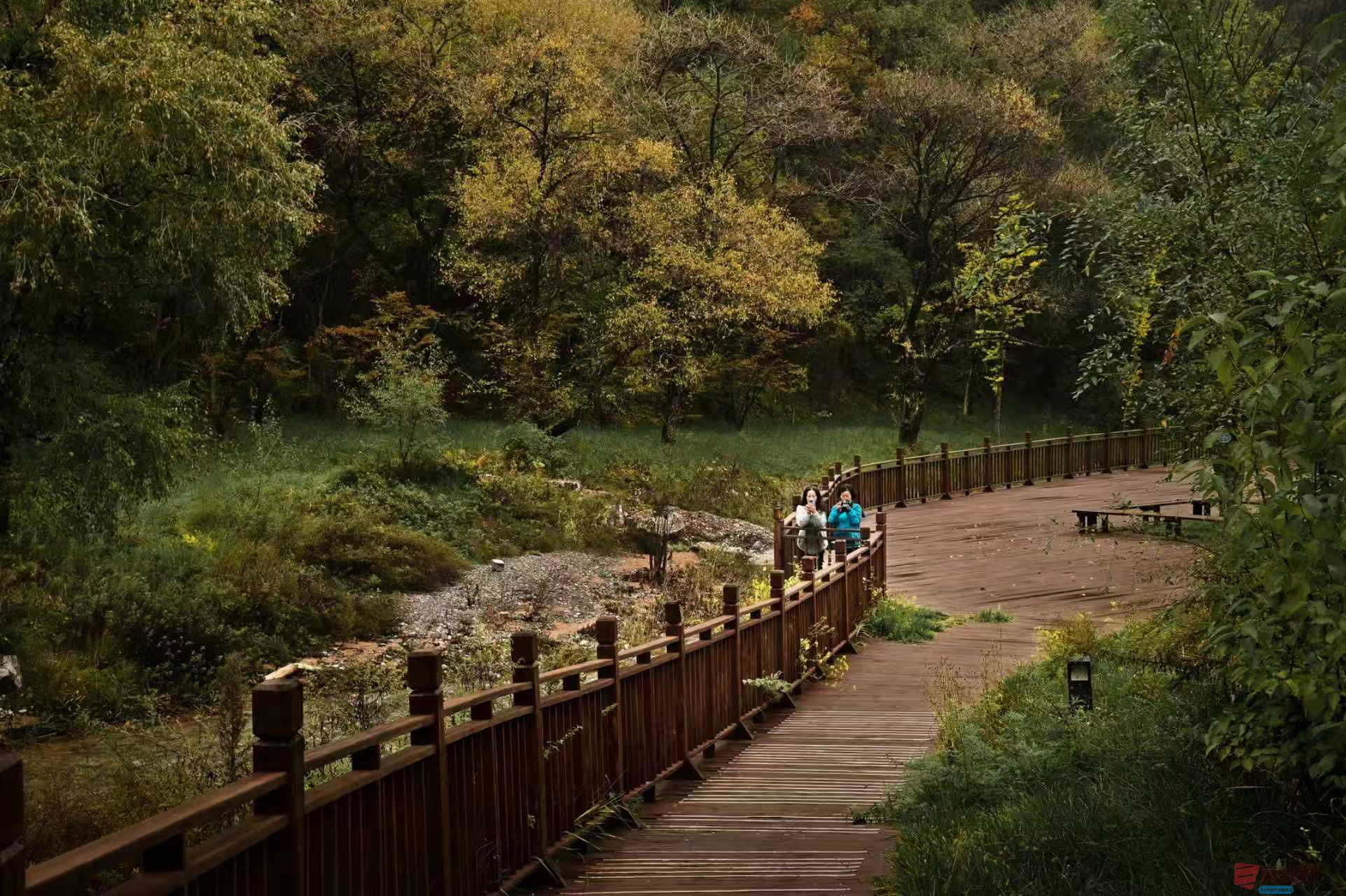 肖宝清_20251022163253_1252_370 (14).jpg