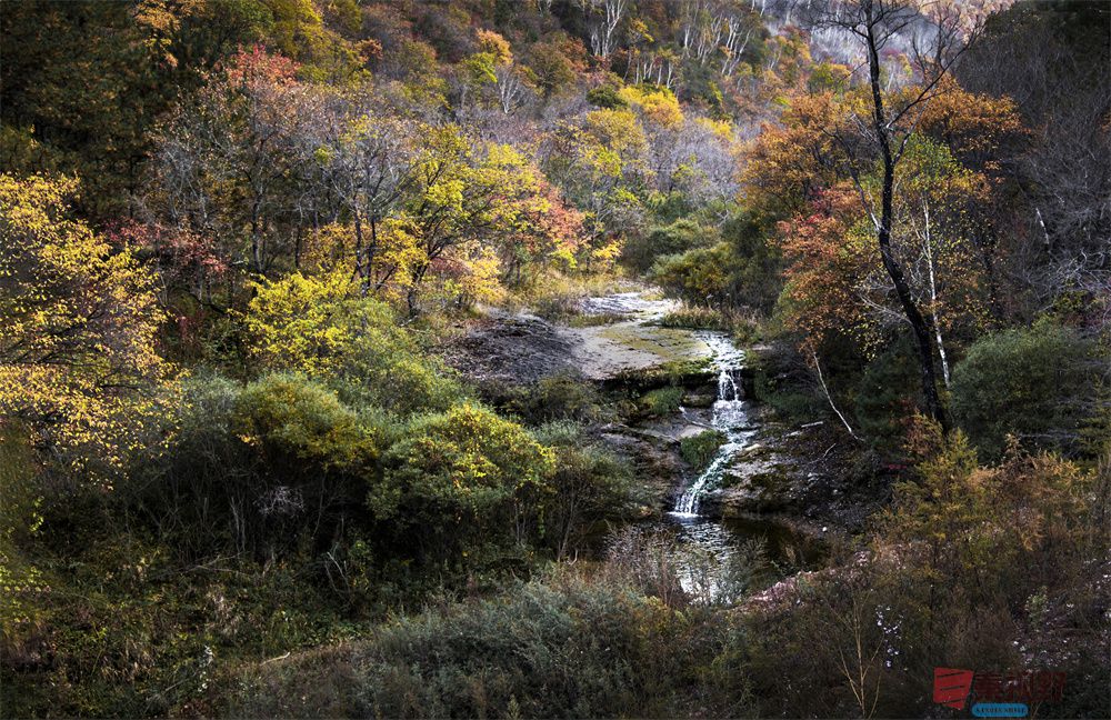 肖宝清压缩_20251023170949_2360_463 (3).jpg