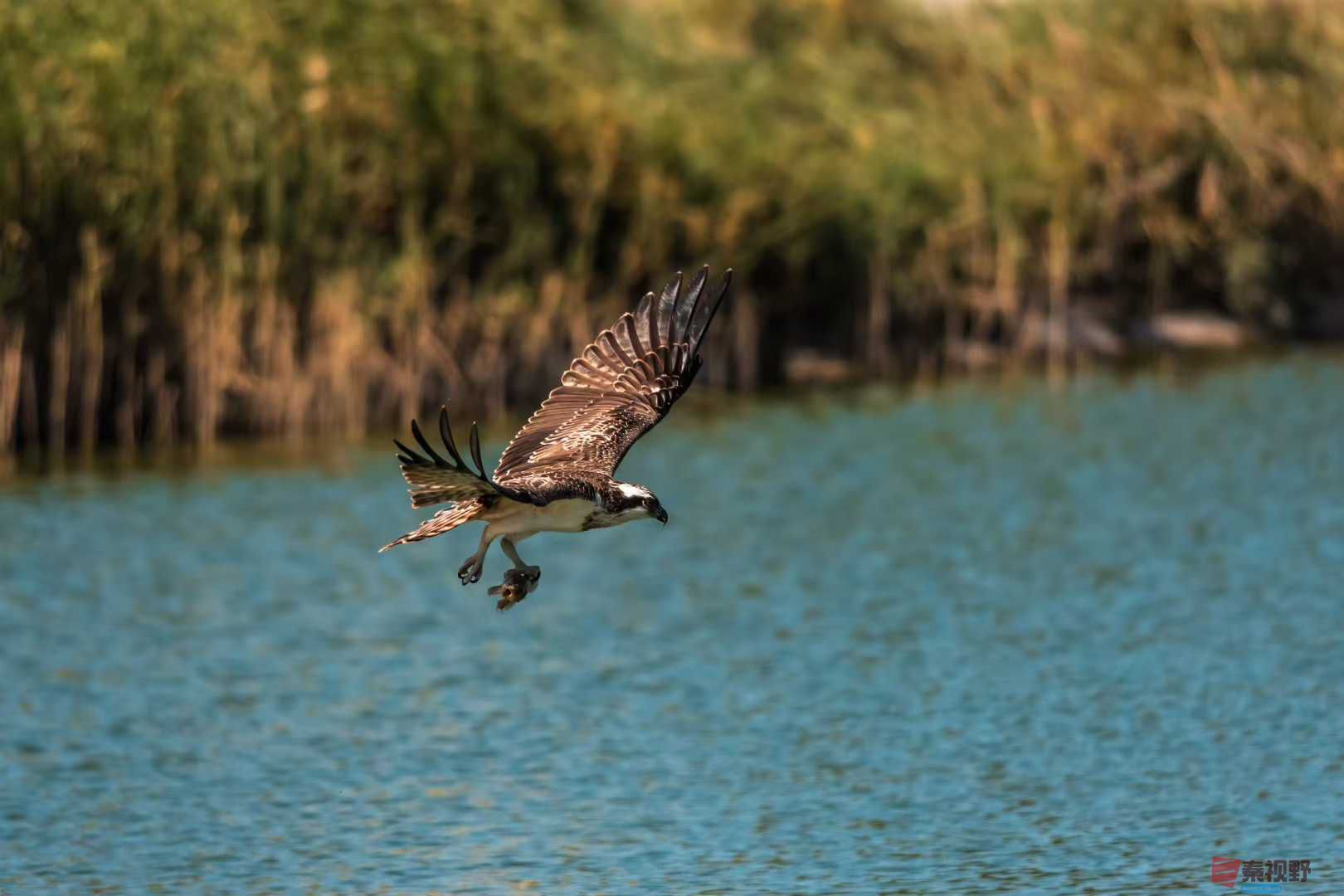 袁小保_2025-10-25_205347_971 (6).jpg