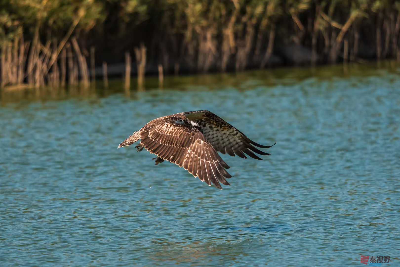 袁小保_2025-10-25_205347_971 (1).jpg