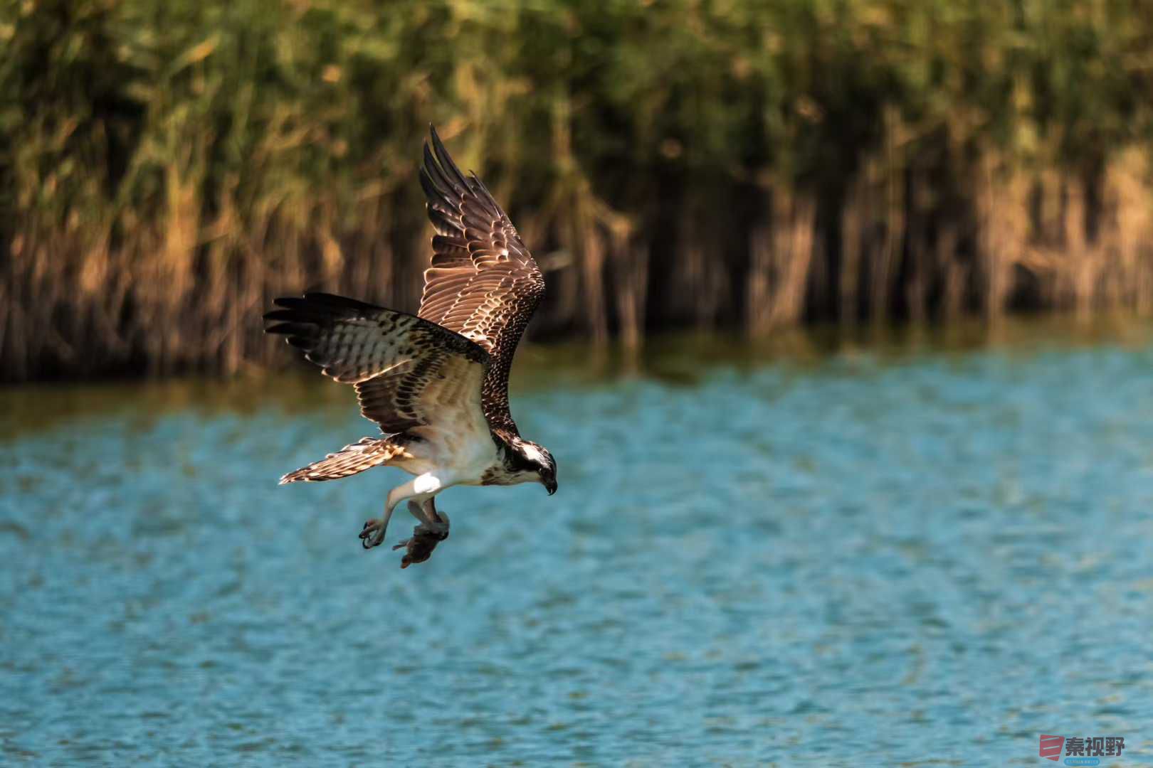 袁小保_2025-10-25_205347_971 (4).jpg