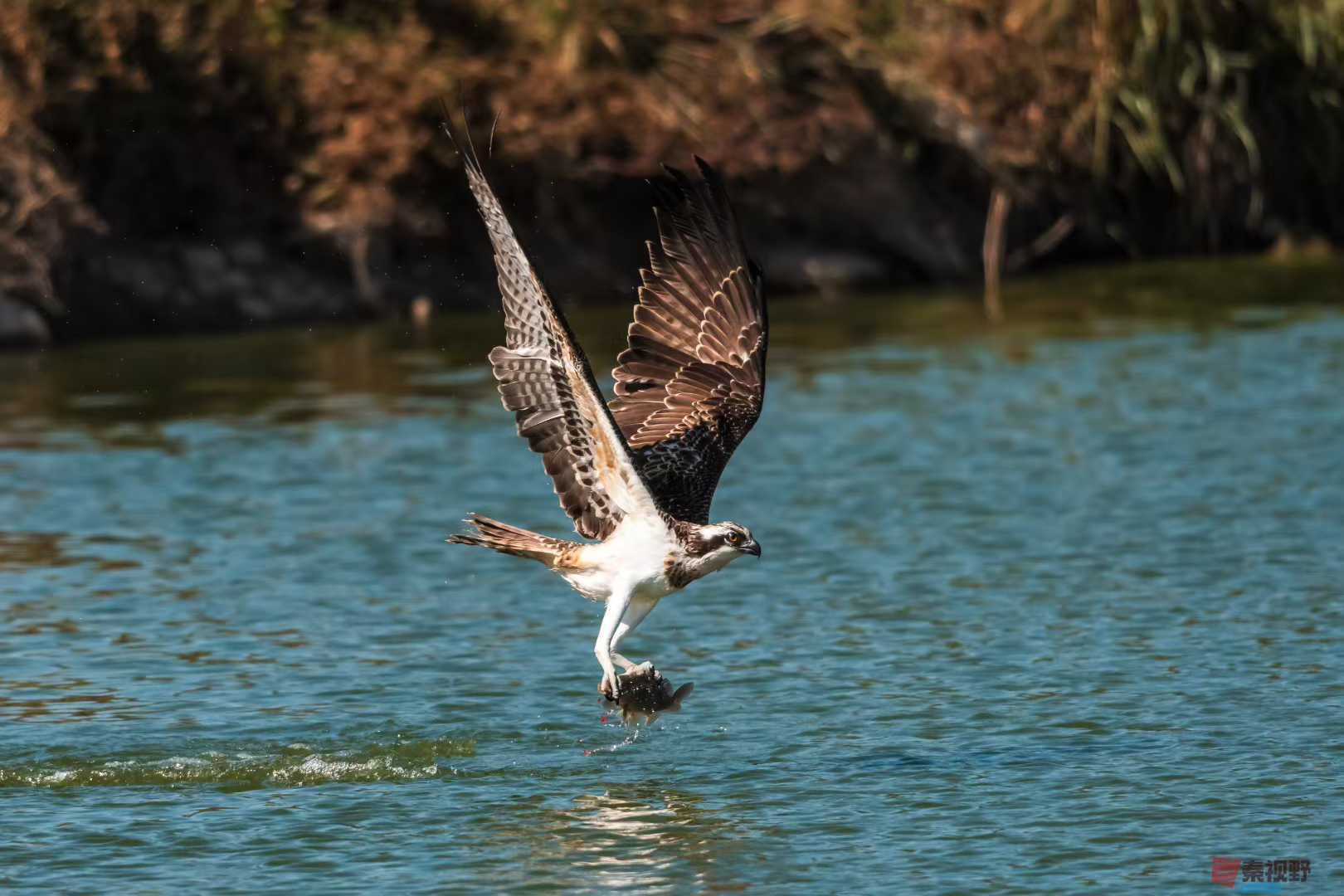 袁小保_2025-10-25_205347_971 (5).jpg