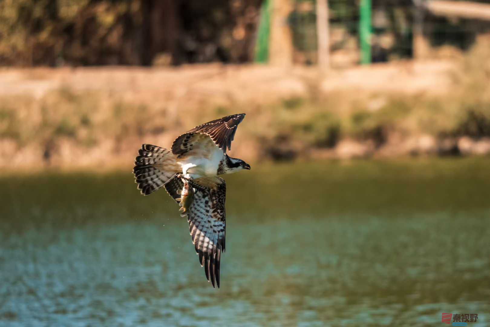 袁小保_2025-10-25_205347_971 (9).jpg