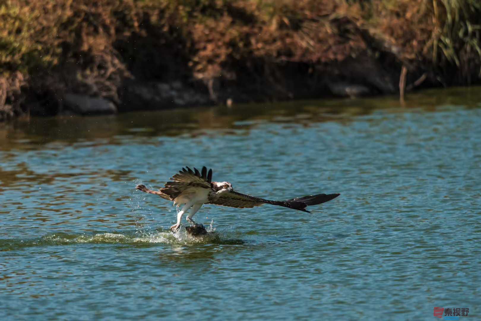 袁小保_2025-10-25_205505_141 (1).jpg