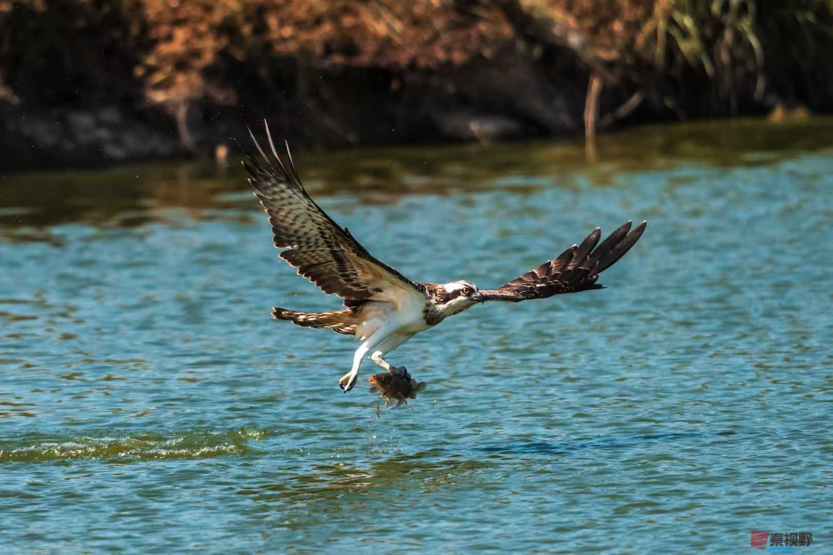 袁小保_2025-10-25_205505_141 (4).jpg