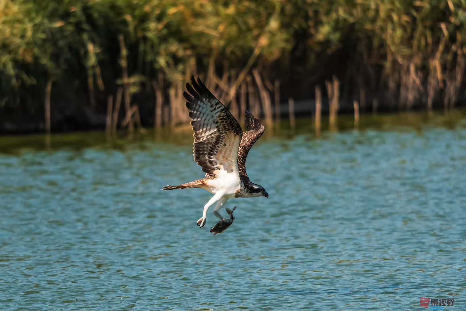 袁小保_2025-10-25_205505_141 (9).jpg