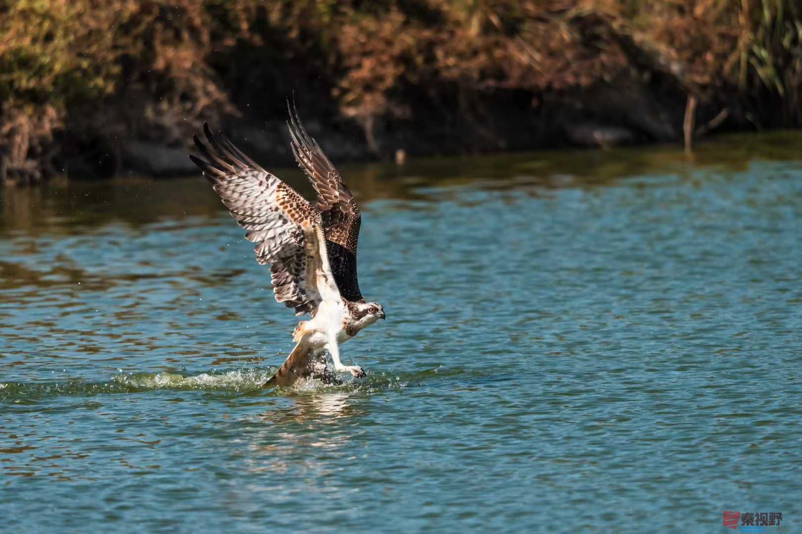 袁小保2025-10-25_205915_927 (5).jpg