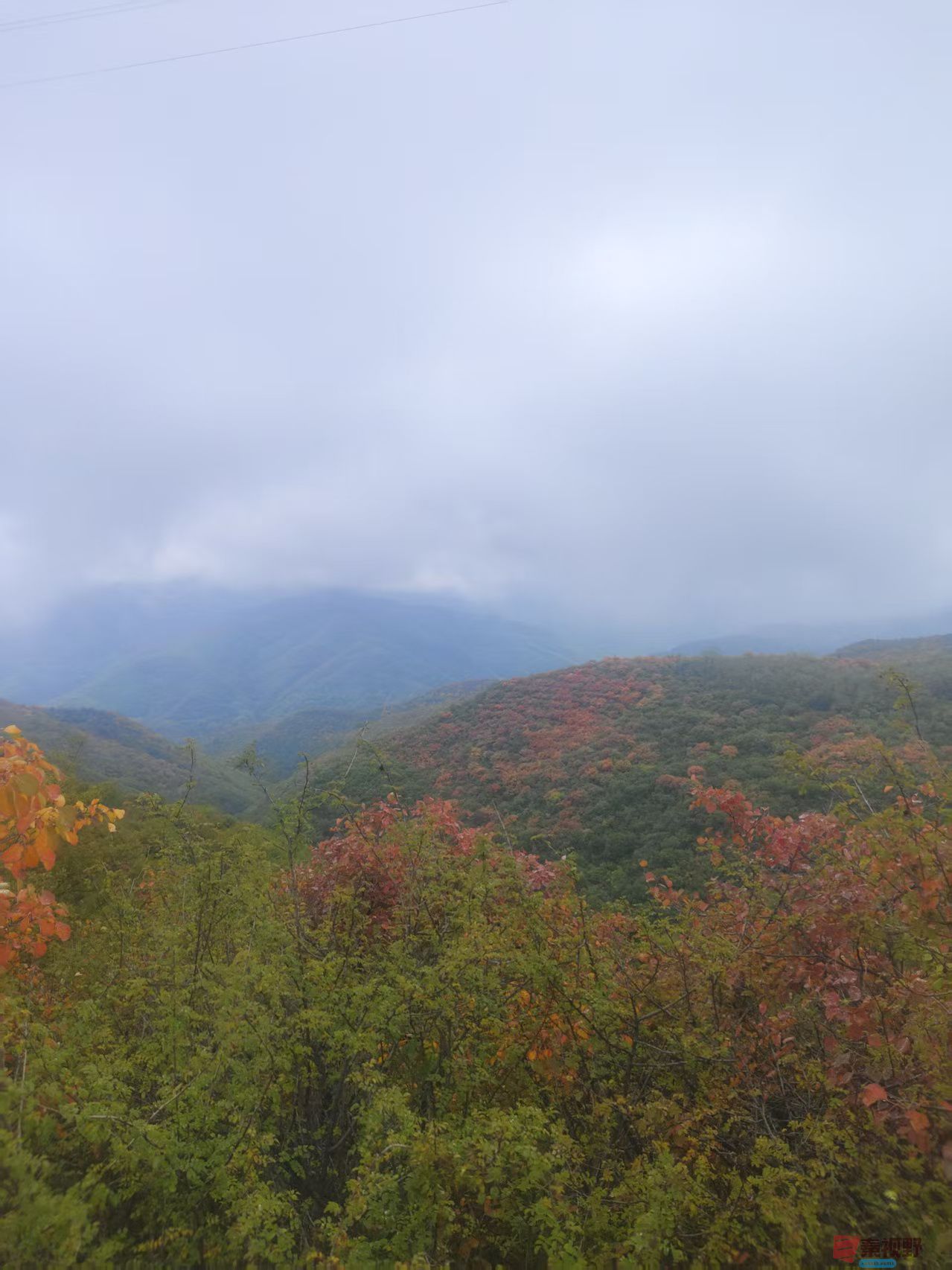 秦璇_20251015183244_4_1502 (2).jpg