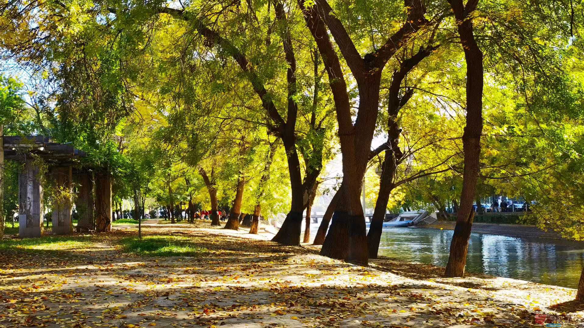 马世国_2025-10-27_155928_024 (3).jpg