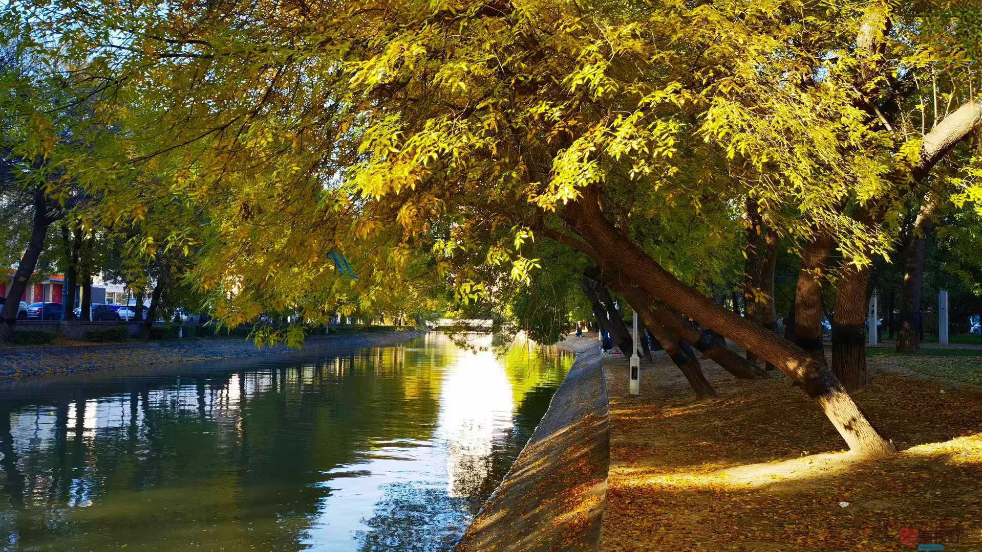 马世国_2025-10-27_155928_024 (9).jpg