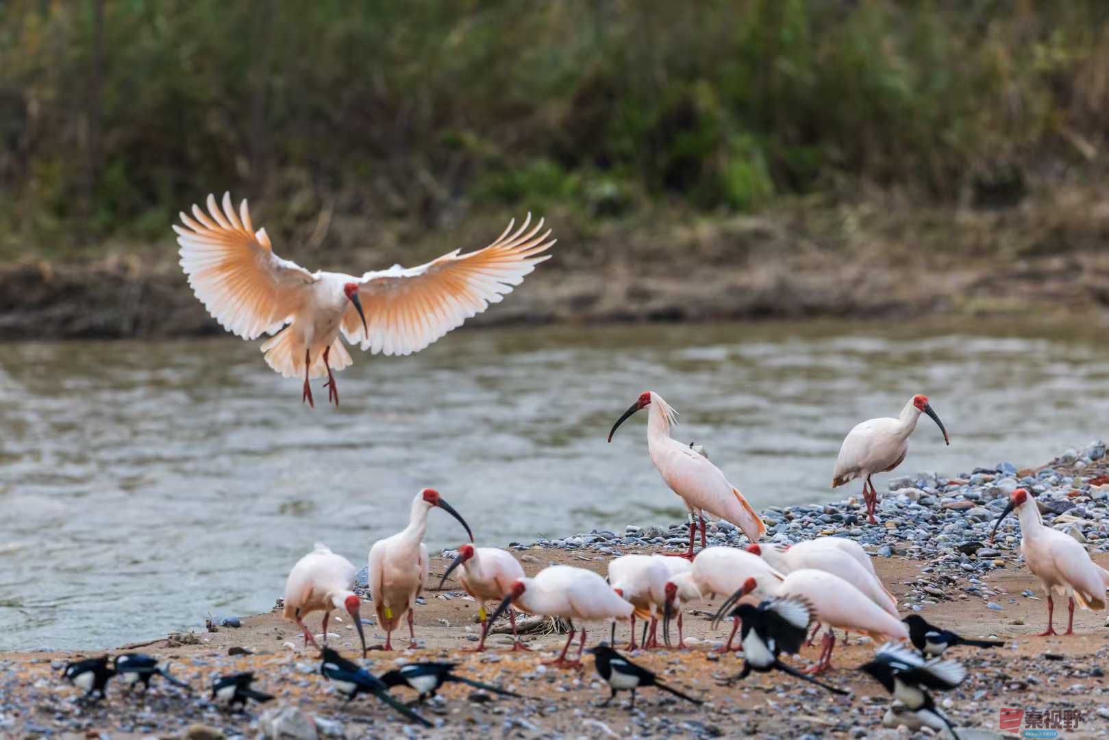 袁小保_2025-10-27_155824_076 (1).jpg