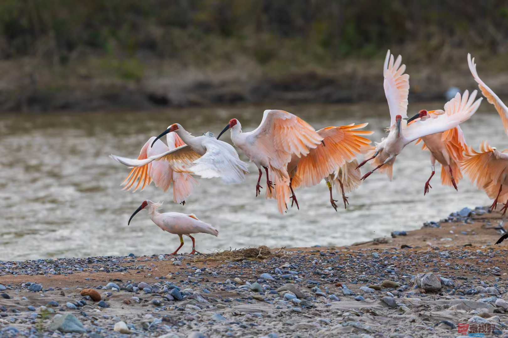 袁小保_2025-10-27_155824_076 (2).jpg