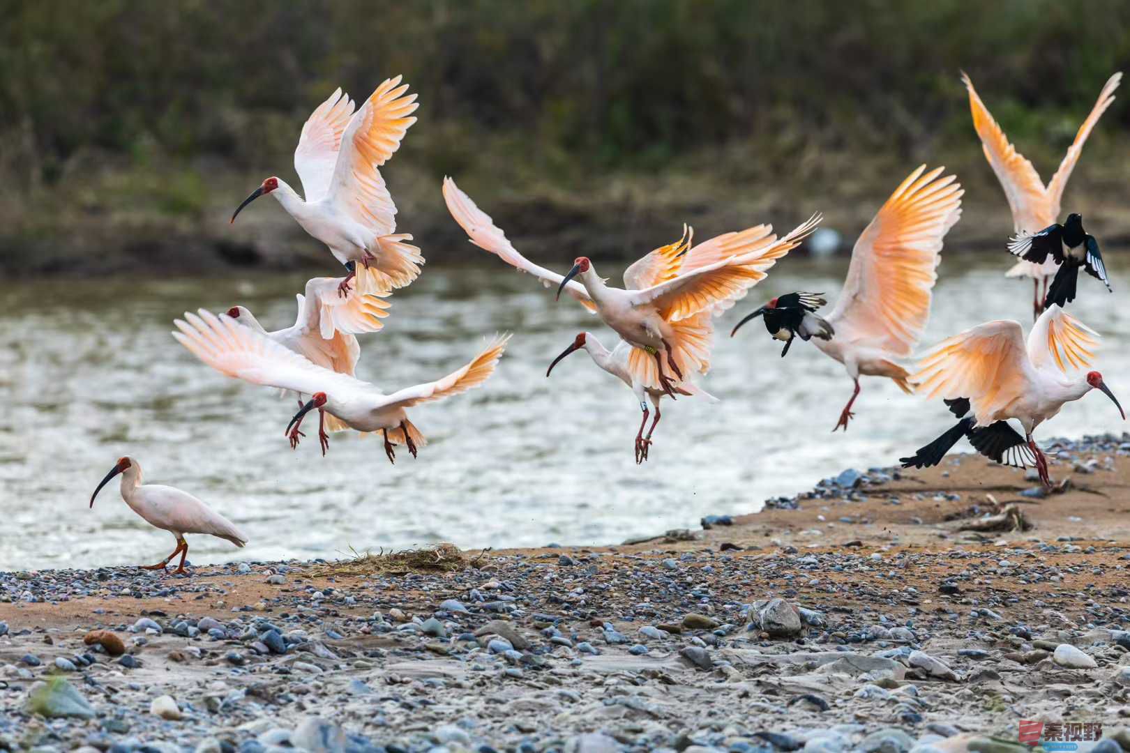 袁小保_2025-10-27_155824_076 (4).jpg