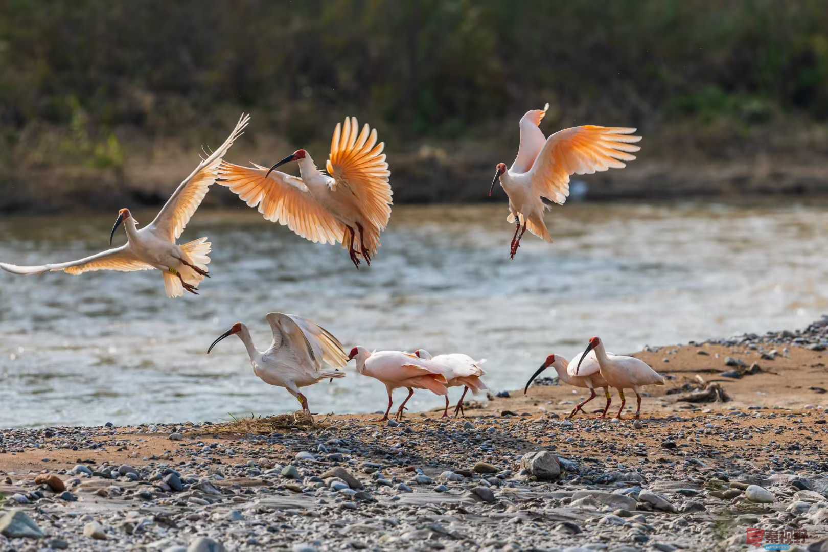 袁小保_2025-10-27_155824_076 (9).jpg