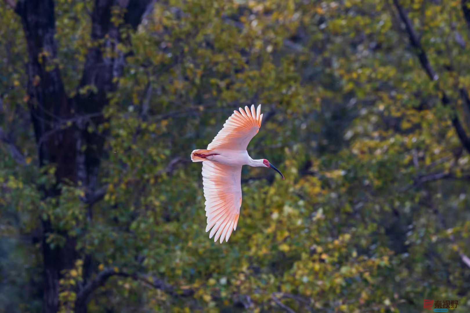 袁小保_2025-10-27_160550_589 (1).jpg