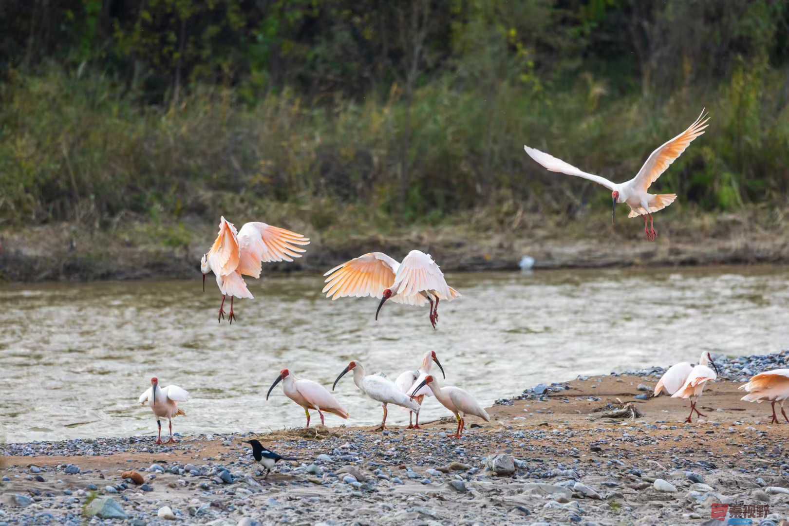 袁小保_2025-10-27_160550_589 (10).jpg