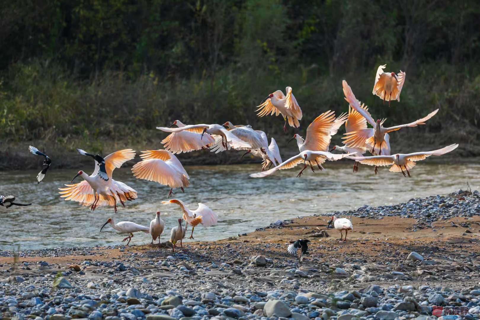 袁小保_2025-10-27_161245_267 (1).jpg