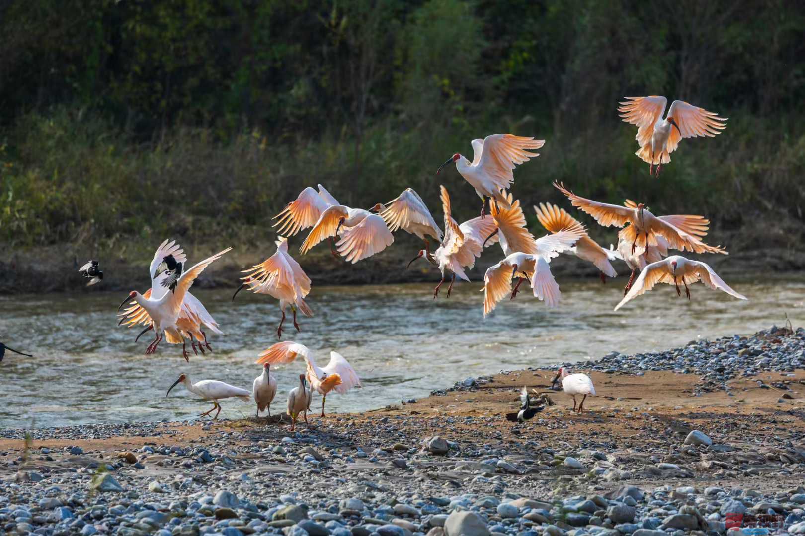 袁小保_2025-10-27_161245_267 (3).jpg