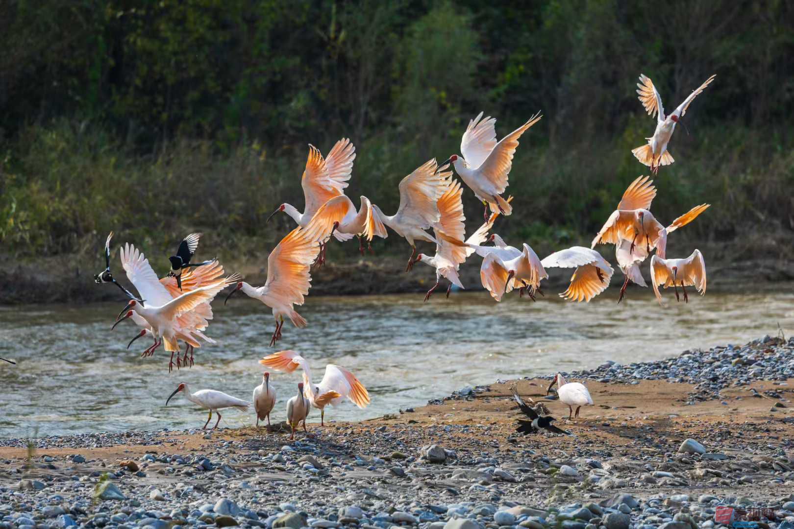 袁小保_2025-10-27_161245_267 (4).jpg