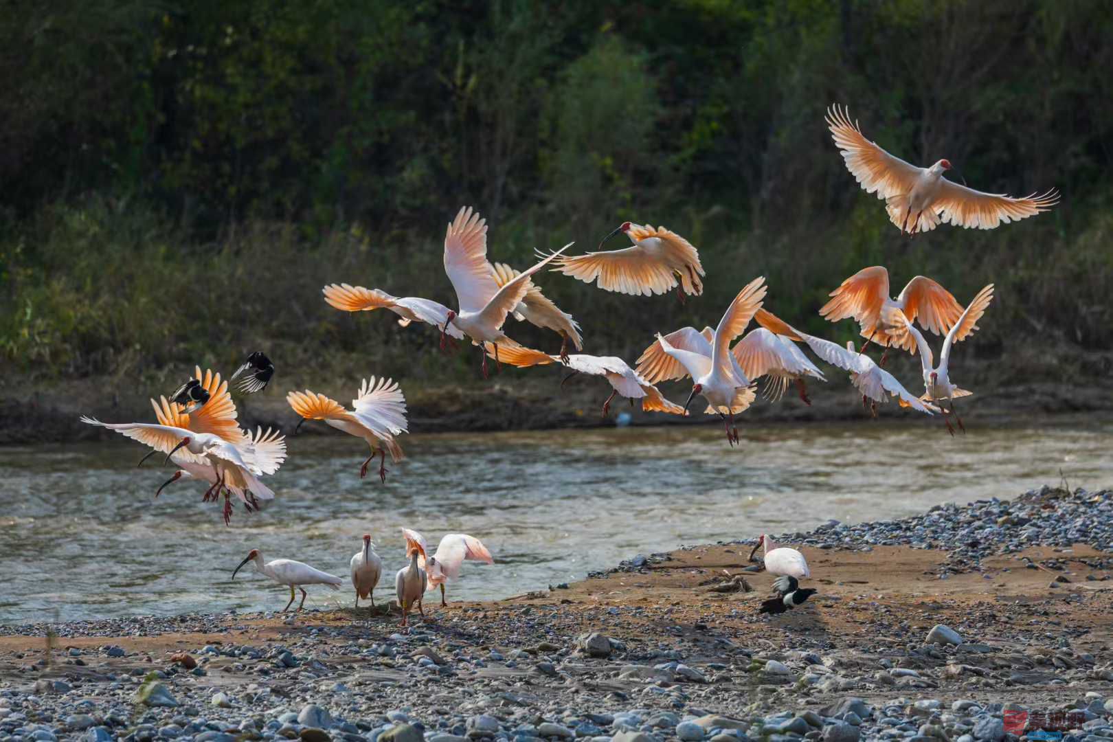 袁小保_2025-10-27_161245_267 (9).jpg