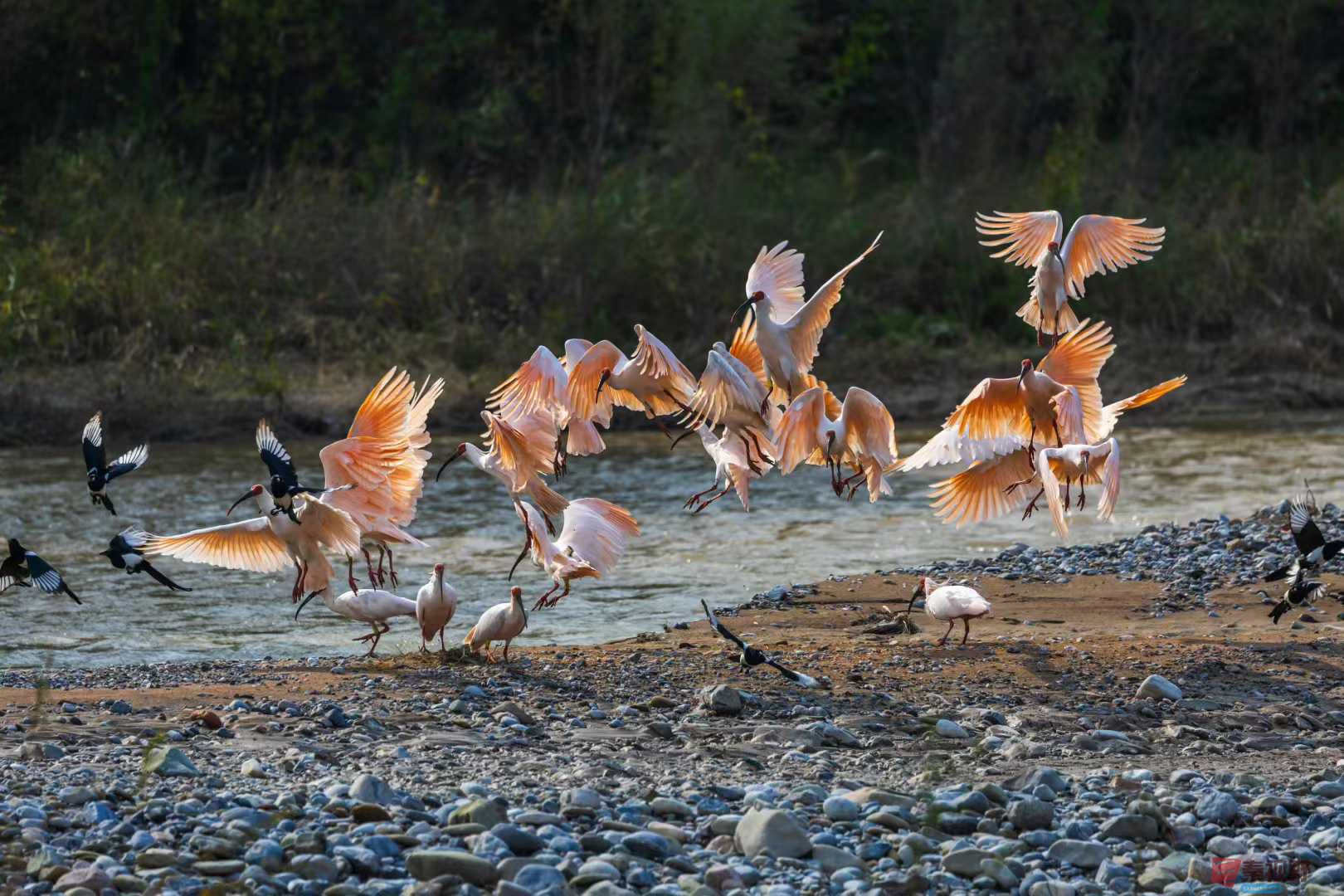 袁小保_2025-10-27_162355_681 (1).jpg