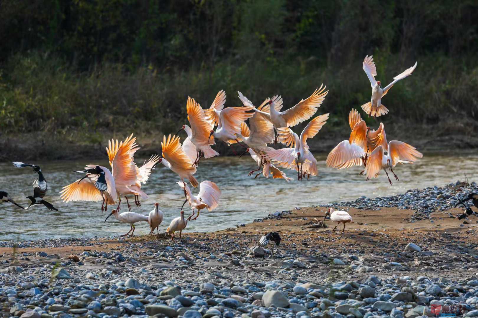 袁小保_2025-10-27_162355_681 (3).jpg