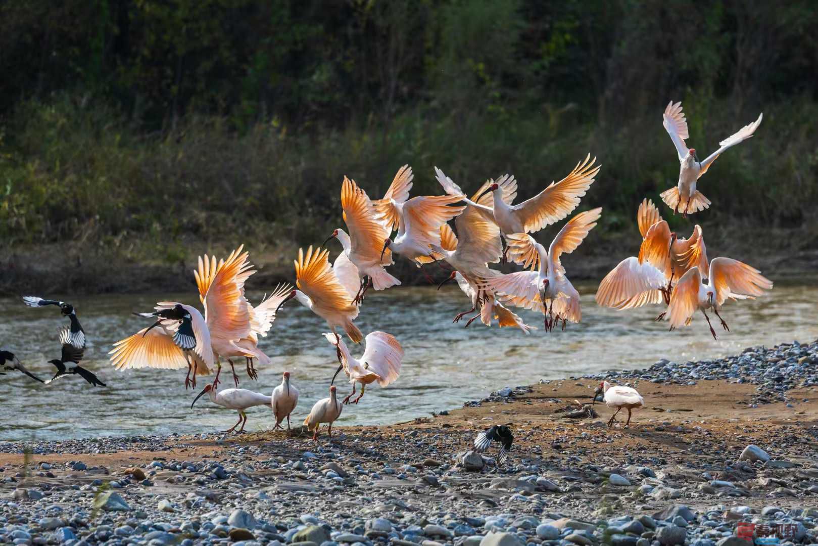 袁小保_2025-10-27_162355_681 (4).jpg