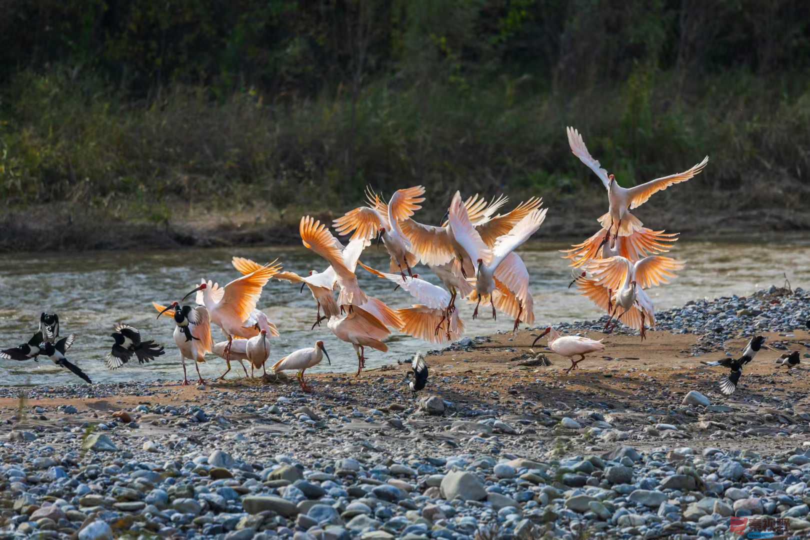 袁小保_2025-10-27_162526_851 (3).jpg