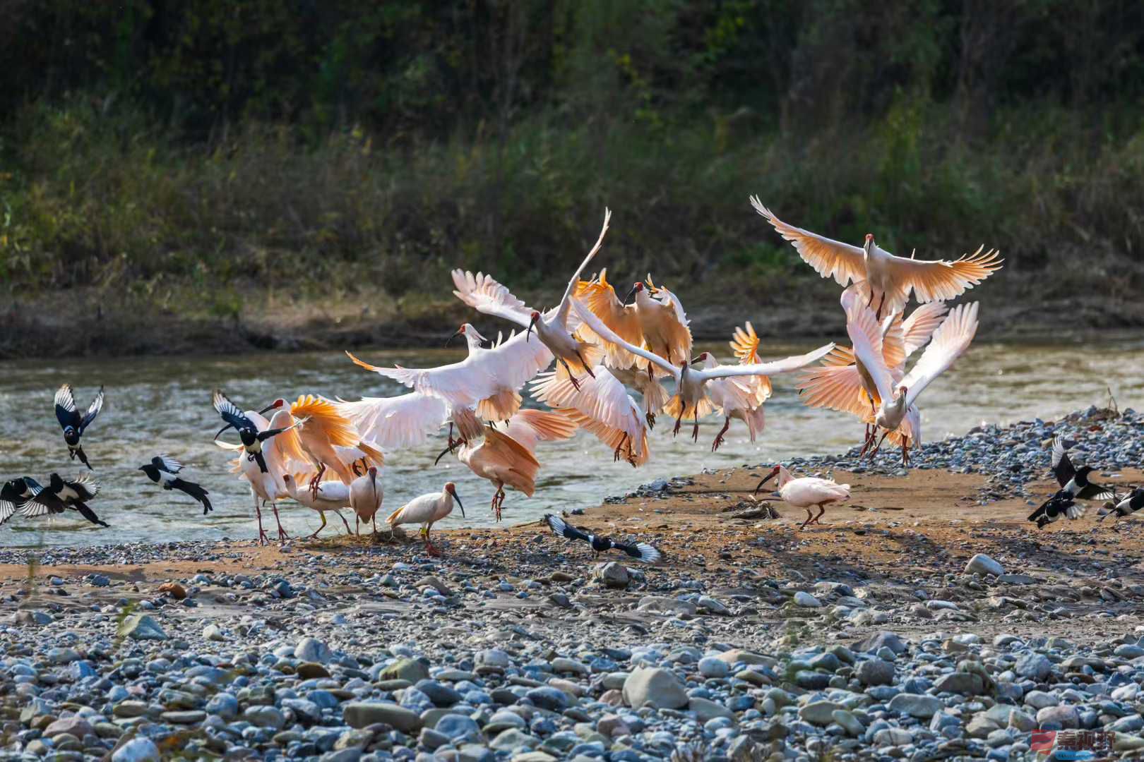 袁小保_2025-10-27_162526_851 (5).jpg