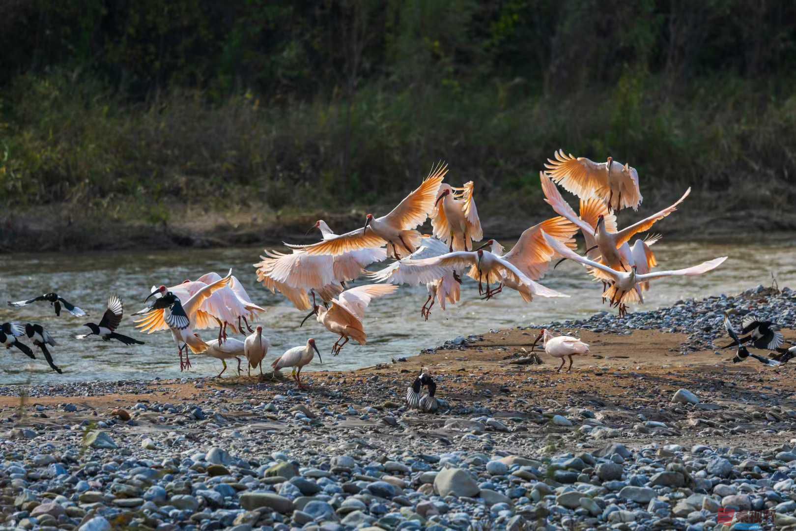 袁小保_2025-10-27_162526_851 (8).jpg