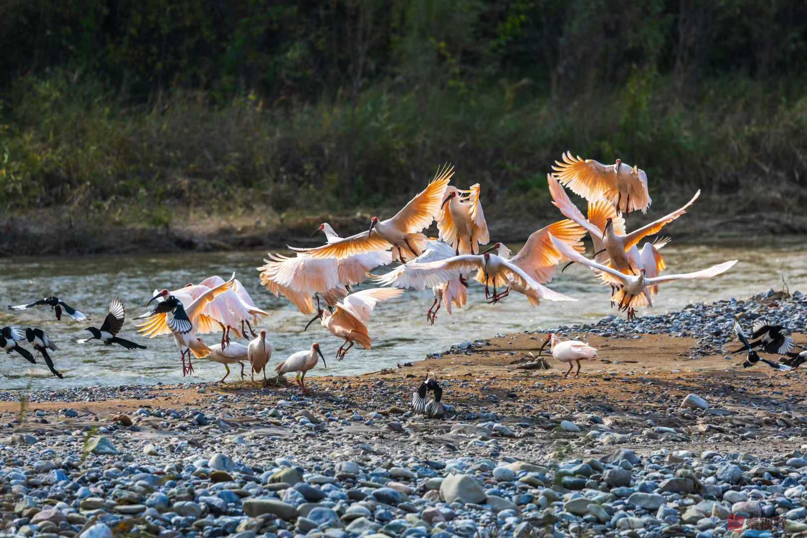 袁小保_2025-10-27_162526_851 (7).jpg