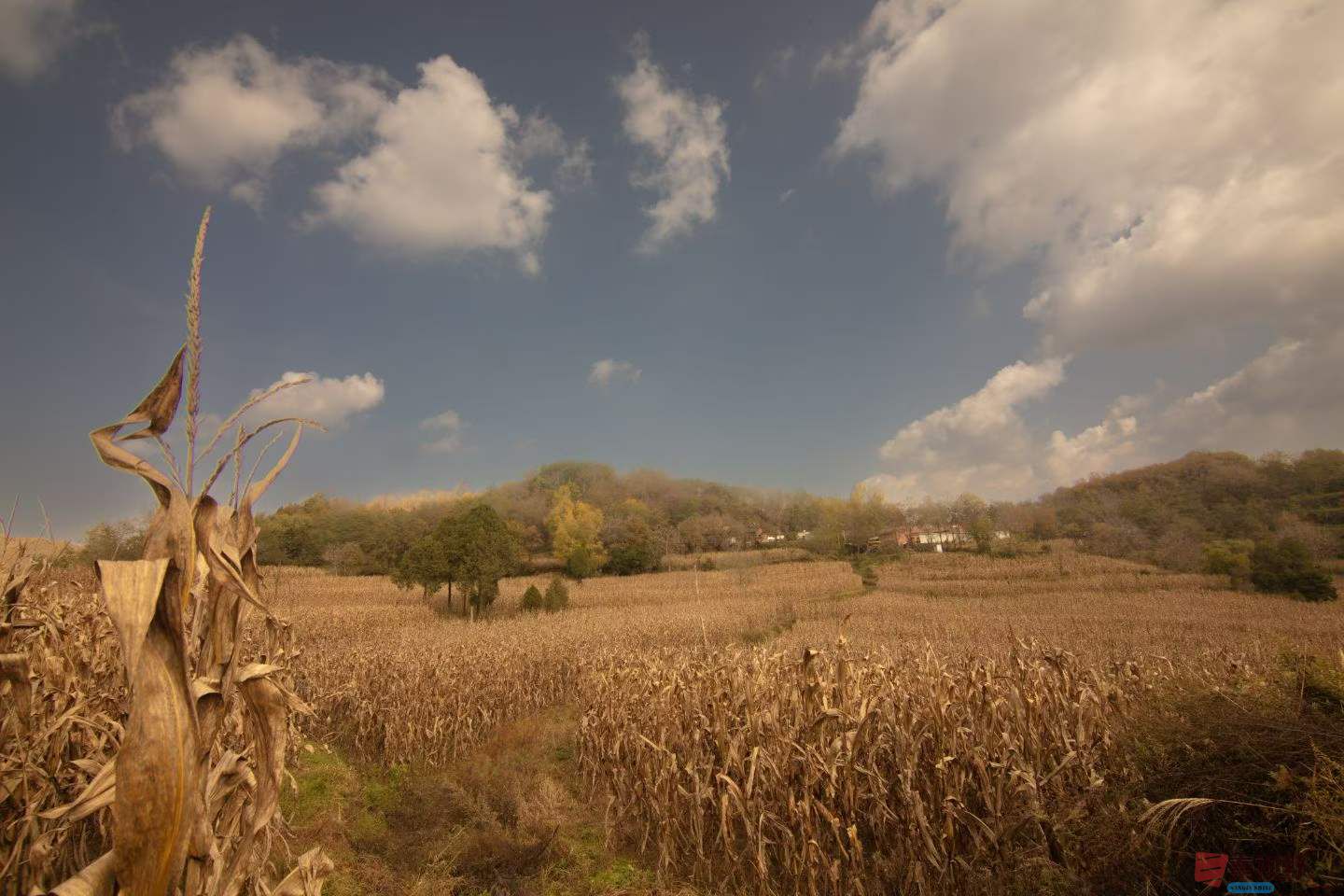 陈耀杰_2025-10-27_160626_251 (2).jpg