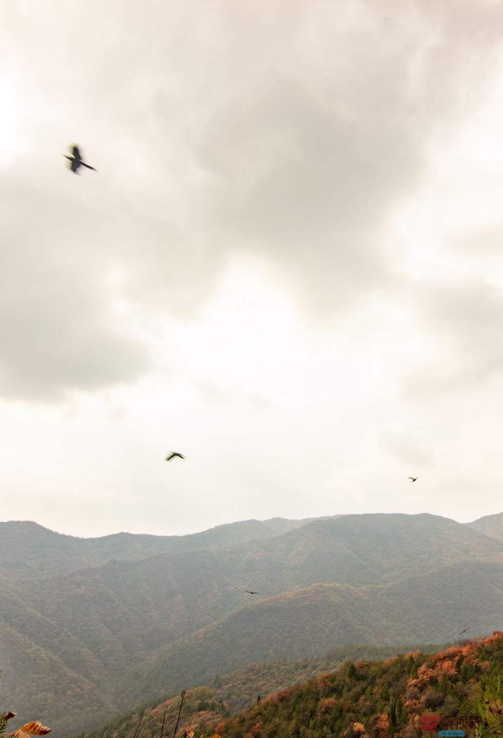 陈耀杰_2025-10-27_160626_251 (6).jpg