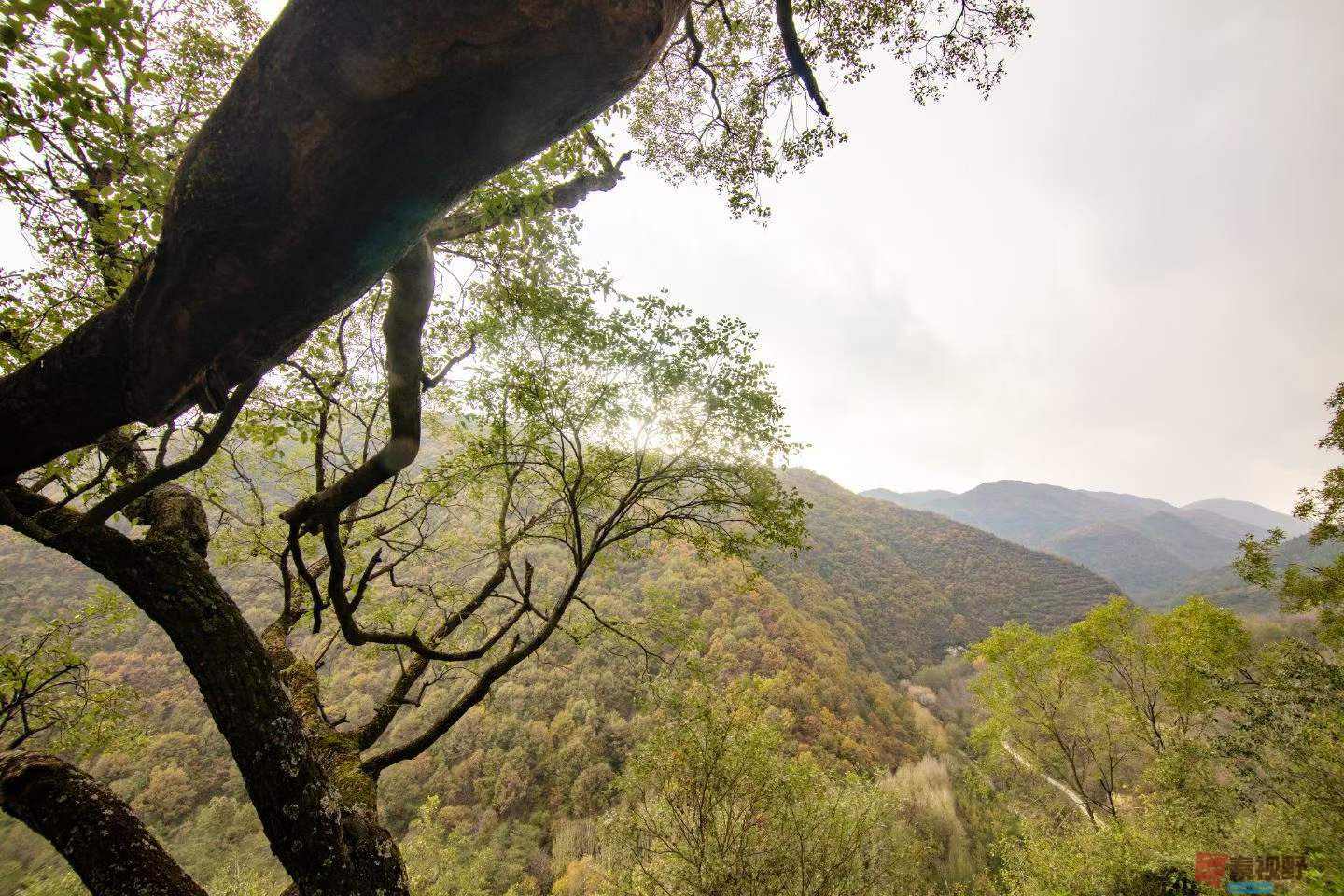 陈耀杰_2025-10-27_160626_251 (9).jpg