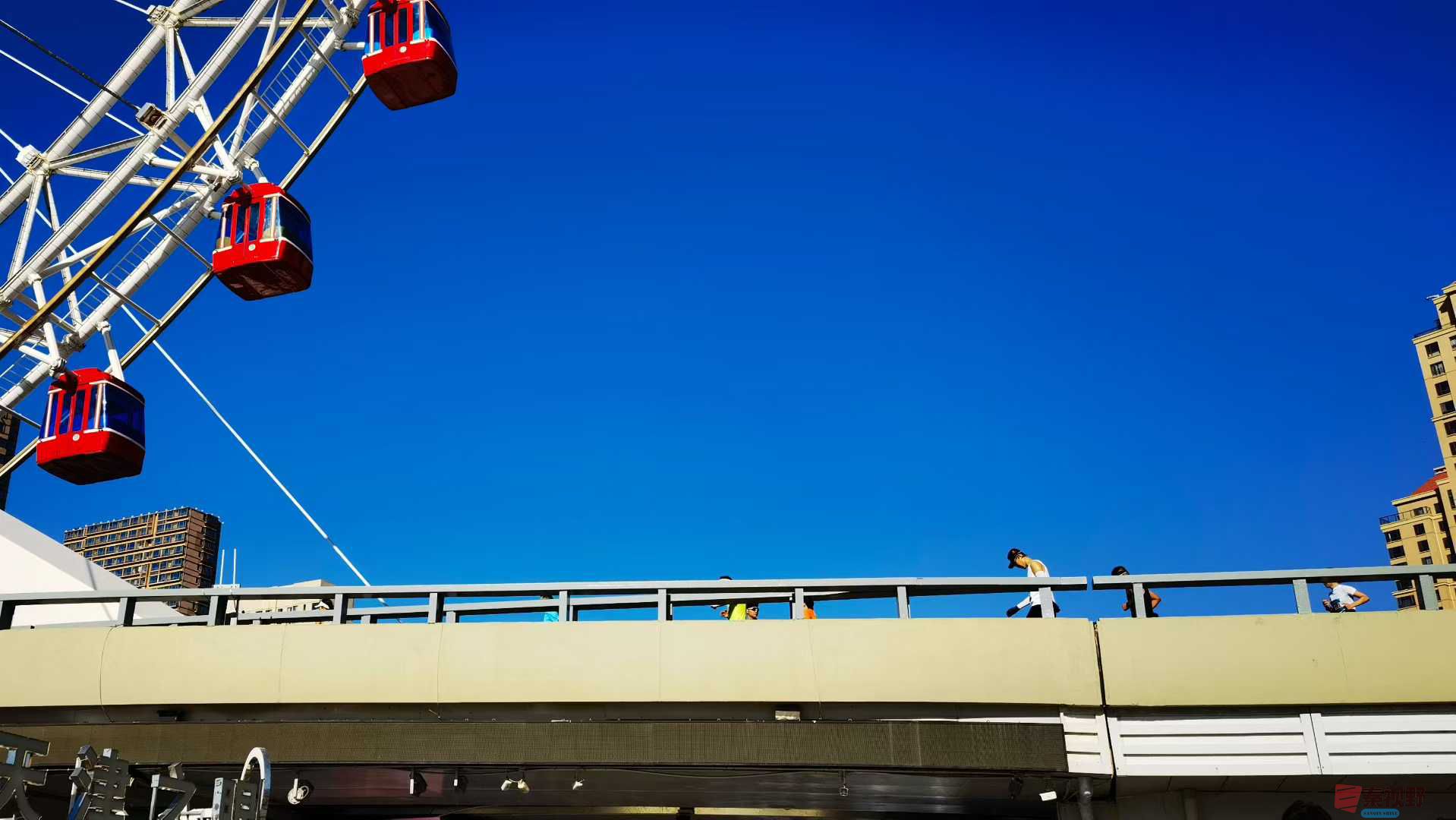 马世国_2025-10-27_163138_610 (2).jpg