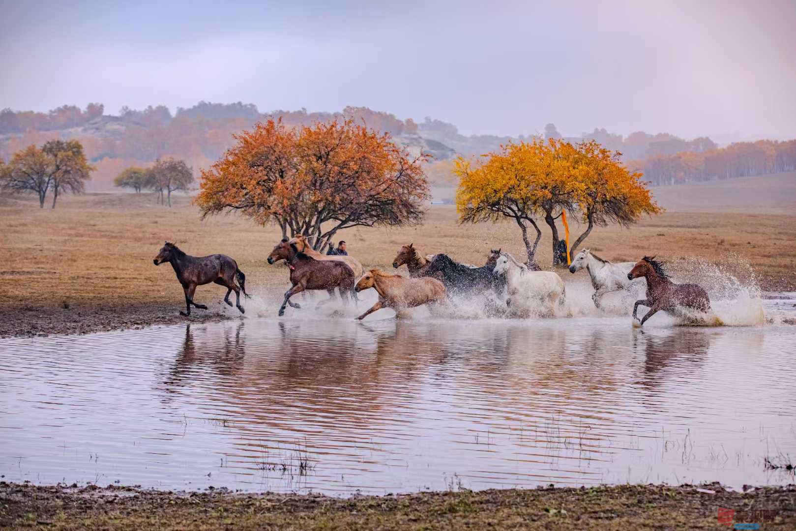 张宝光_2025-10-29_100412_182 (2).jpg