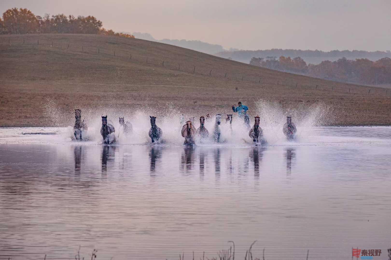 张宝光_2025-10-29_100412_182 (3).jpg