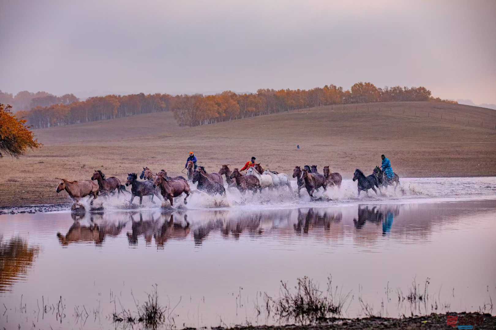 张宝光_2025-10-29_100412_182 (4).jpg