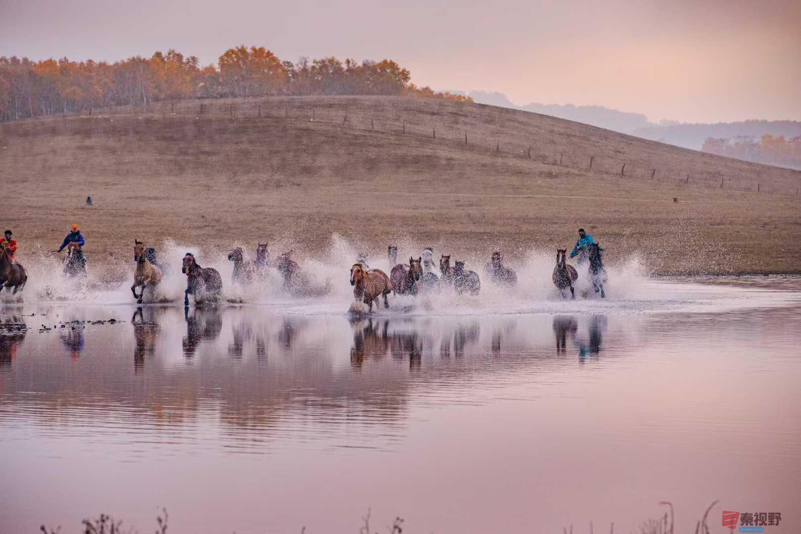 张宝光_2025-10-29_100412_182 (5).jpg