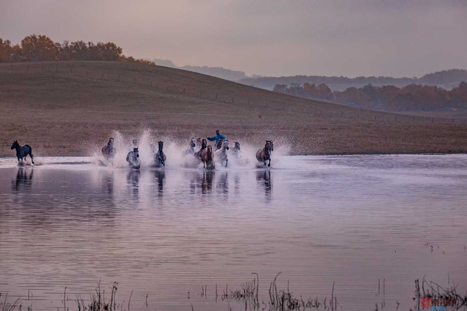 张宝光_2025-10-29_100412_182 (7).jpg