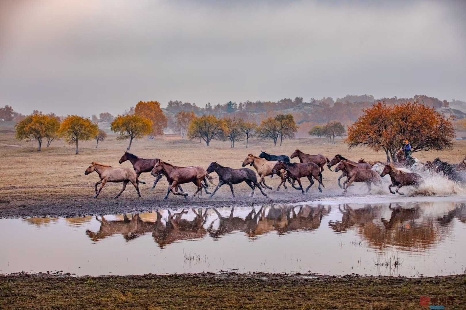 张宝光_2025-10-29_100412_182 (9).jpg