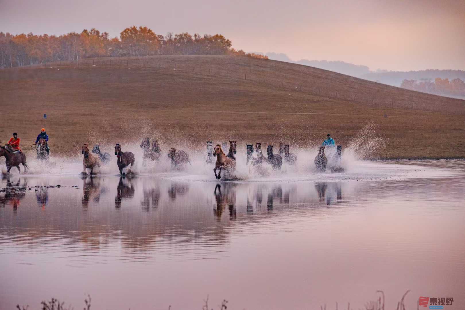 张宝光_2025-10-29_100412_182 (8).jpg