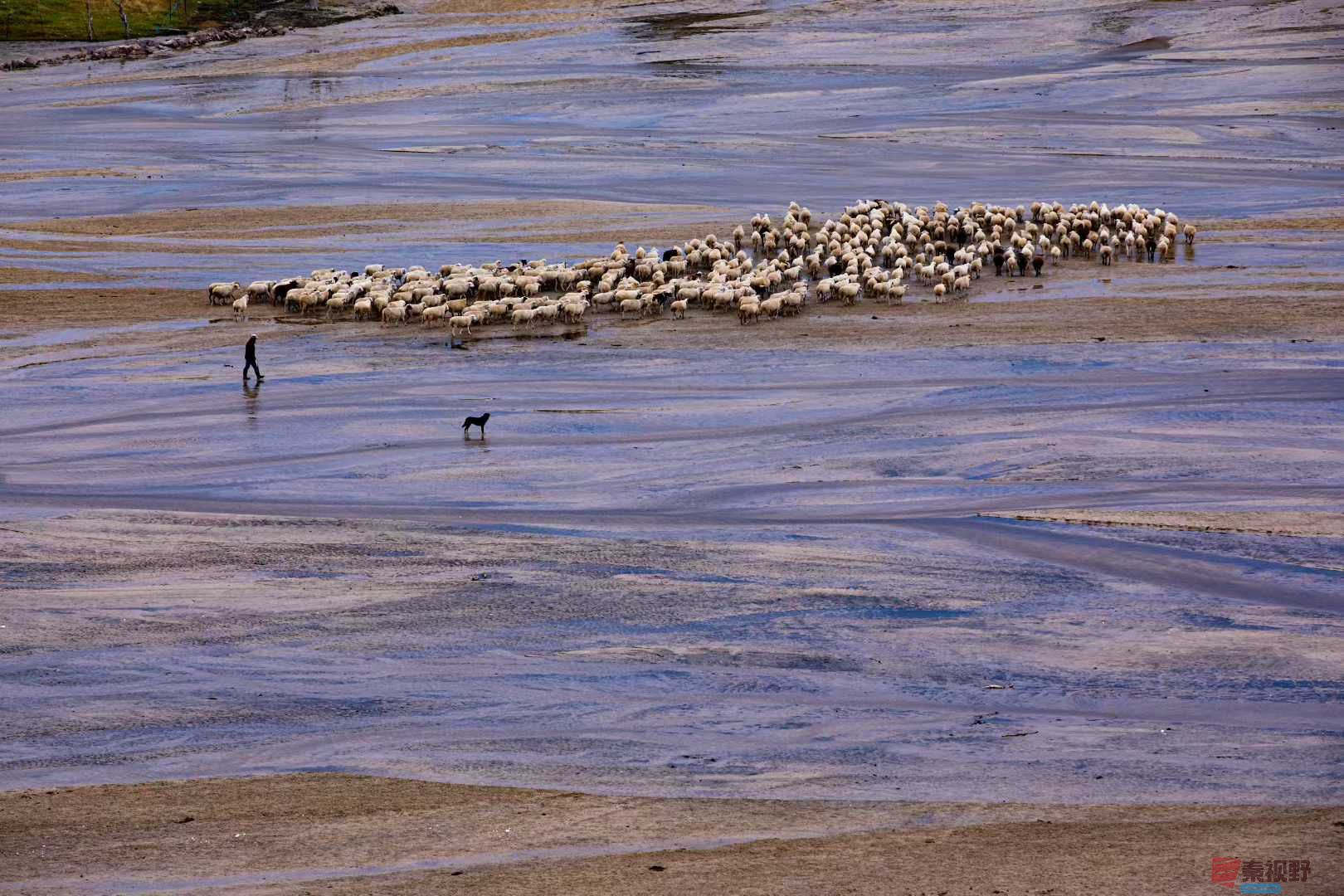 张宝光_2025-10-29_100724_755 (1).jpg